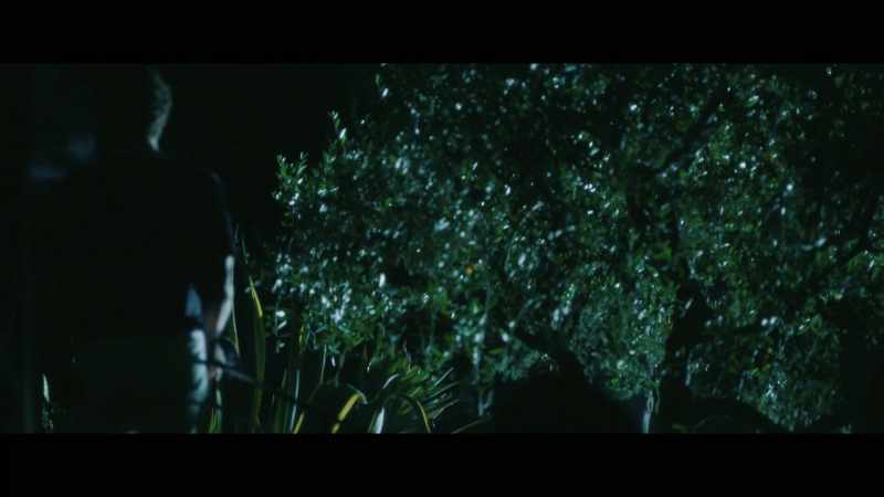 What do we do? -Nothing, we are not invited