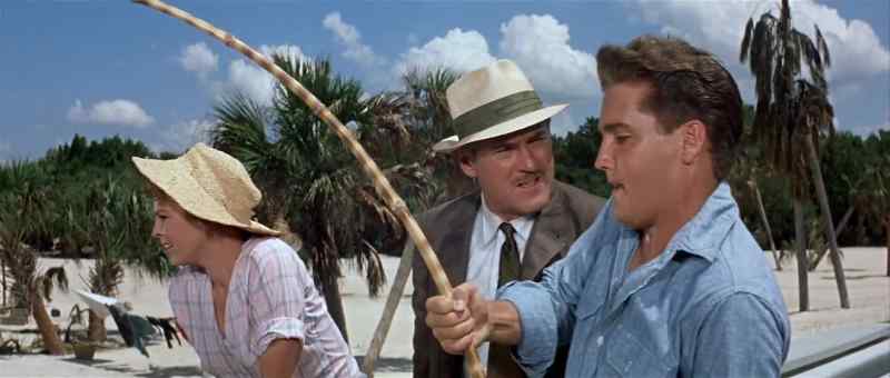 What do you got there, a tarpon ?