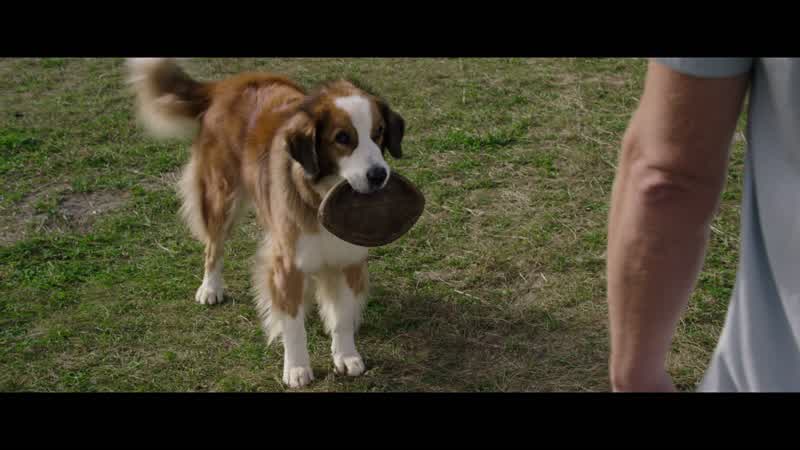What do you got there?