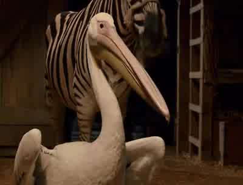 What do you know Goose who was really a pelican is really a stool pigeon
