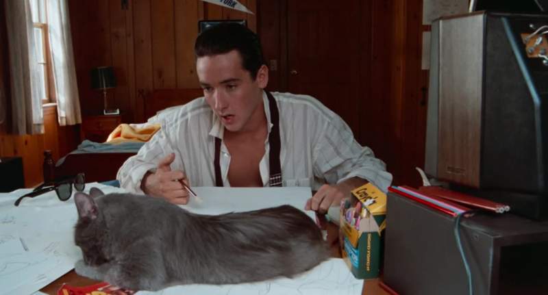 What do you know You're not a man You're a cat