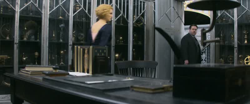 Mr. Scamander! Don't panic. What do you suggest I do instead?