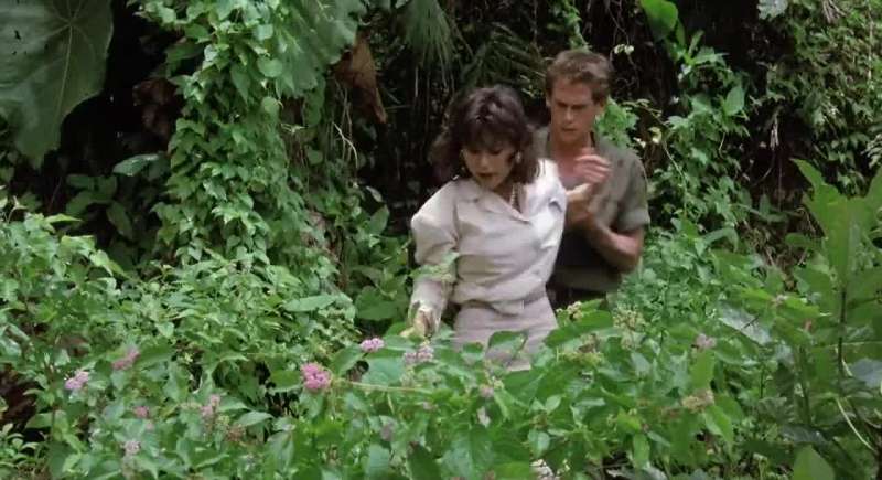 What do you think I am a jungle baby or something