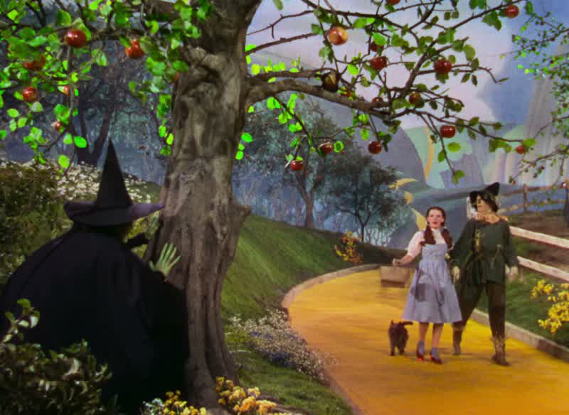 Oh. Apples. Oh, look. Oh. Ouch! What do you think you're doing? We've been walking a long ways and I