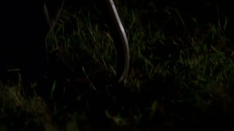 What do you think it is?