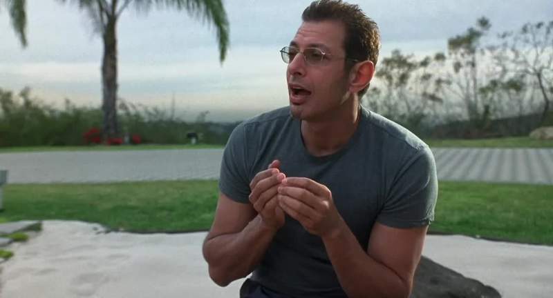 What does jeff goldbloom want