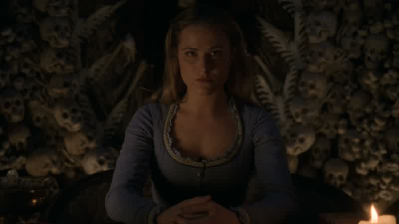 The maze