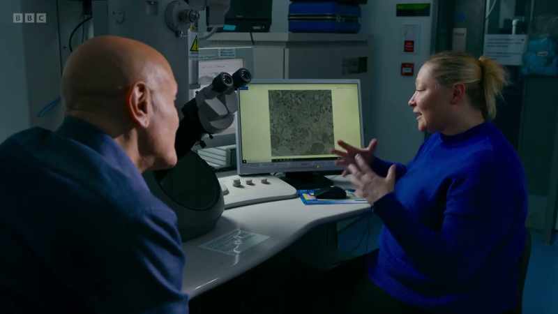 What does the virus do inside the cell?