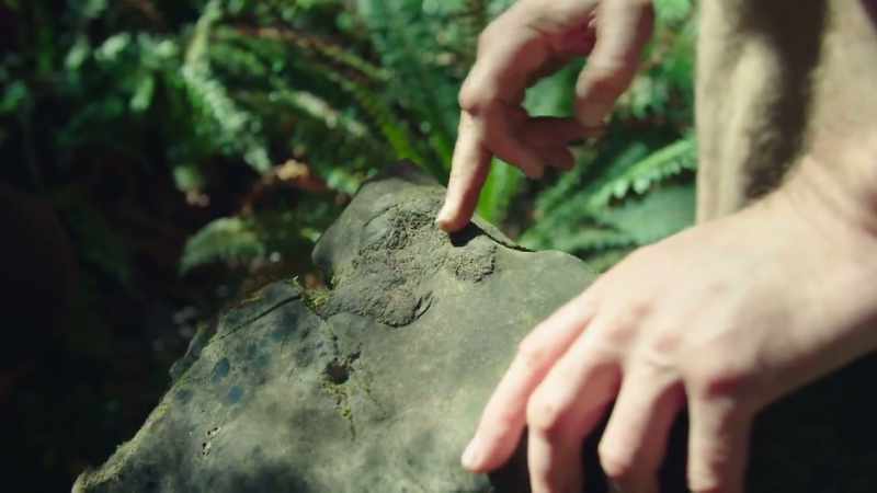 What we found here is a piece of bone