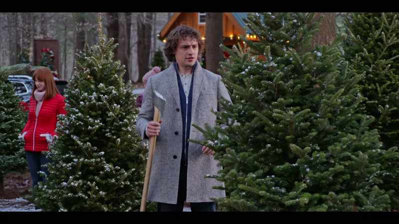What fun is fetching a Christmas tree