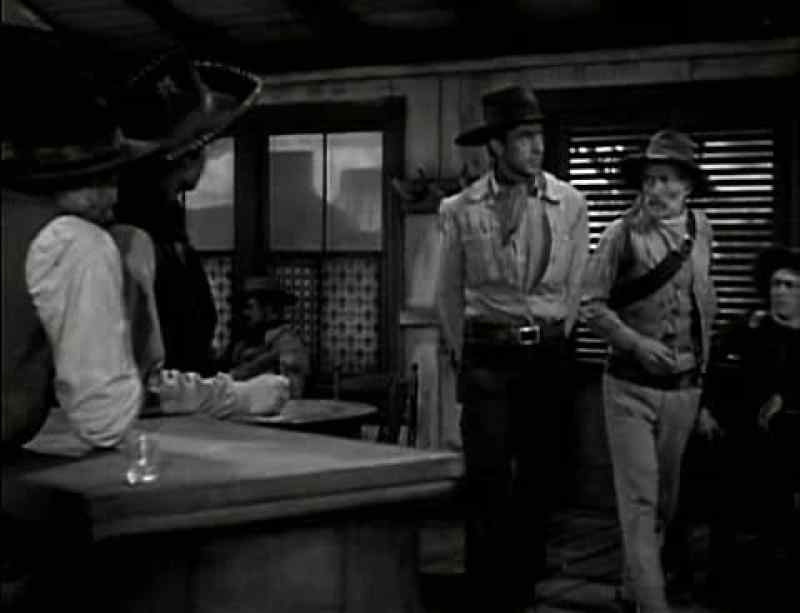 What you got there? - A horse thief, Judge