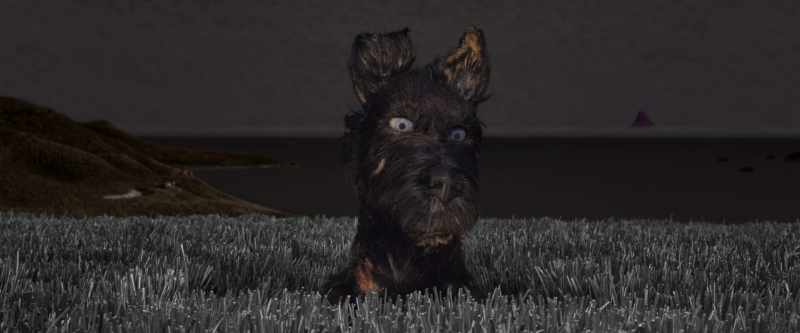 What happened? Why did I do that?