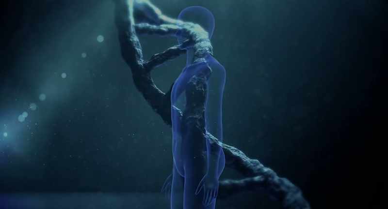 What happens is that all of the genes that create