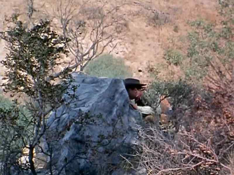 What have they got against us?