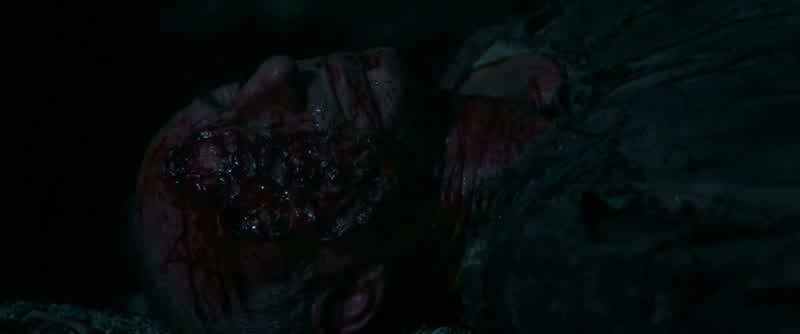 What have you done to him?