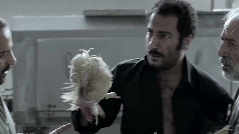 What is he saying? - They are the dead chicken
