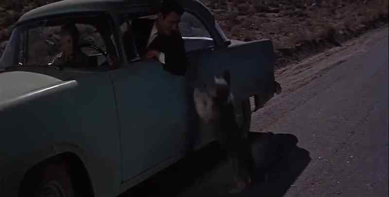 What I ought to do is put a bullet in his head