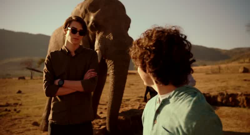 What? I thought I saw an eagle. I saw a camel!
