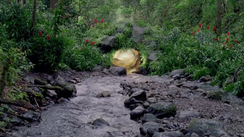 What is this place?