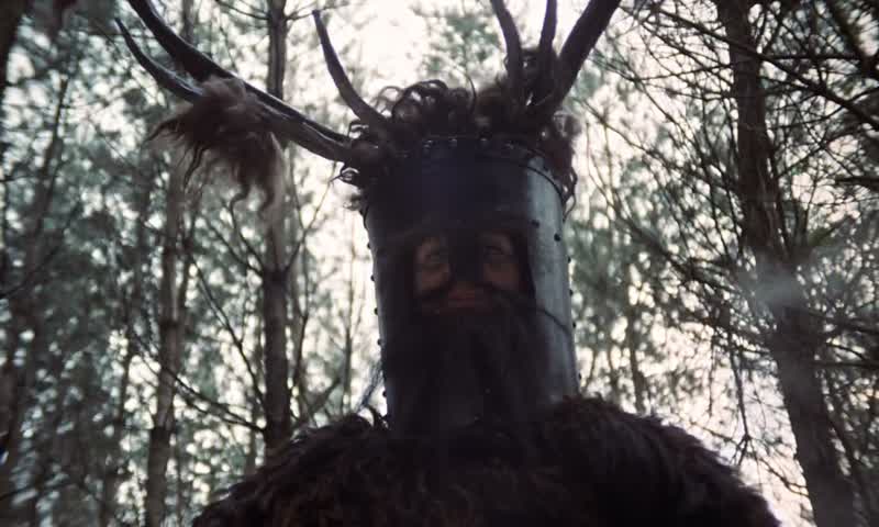 What is this test knights who until recently said NiFirstly you must findanother shrubberyNot another shrubberyThen you must bring it here beside this shrubberyHigher so you get the two level effect