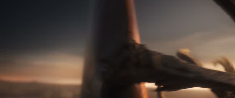 What is that?