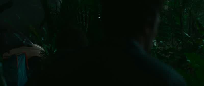 What is that?