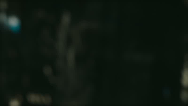 What is that?