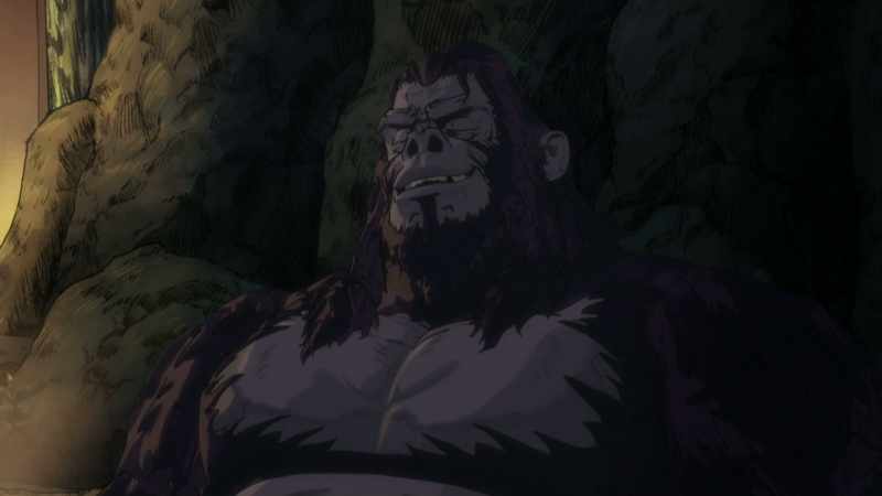 What is it about apes and humans