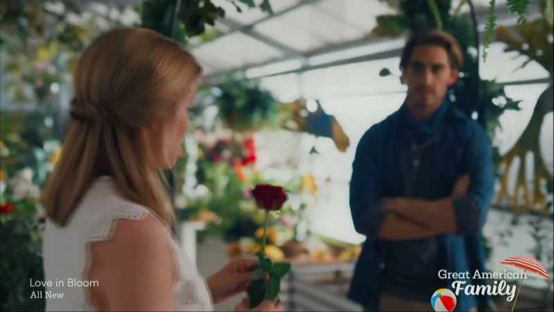 What is it about the red rose that says