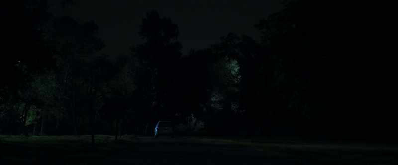 What if It infected the town just for me?