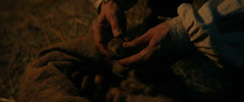 What is it? - Potatoes
