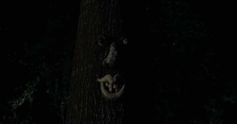 What is it?