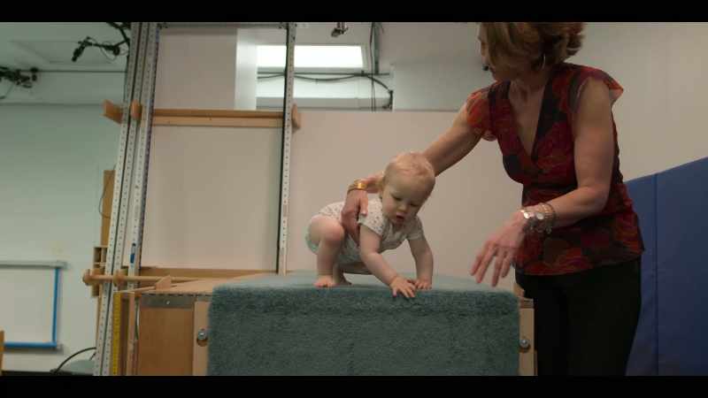 What is it that babies are learning