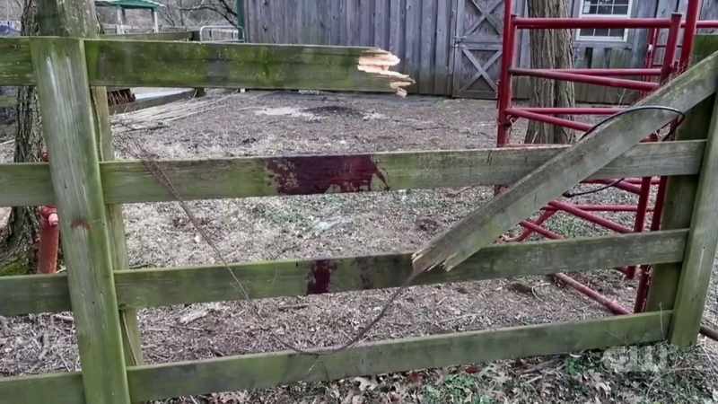 What was it trying