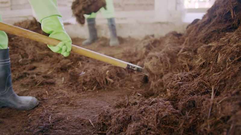 What kills the germs is the temperature, which gets really high