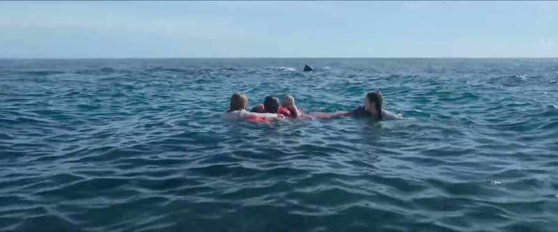 What kind of shark is that