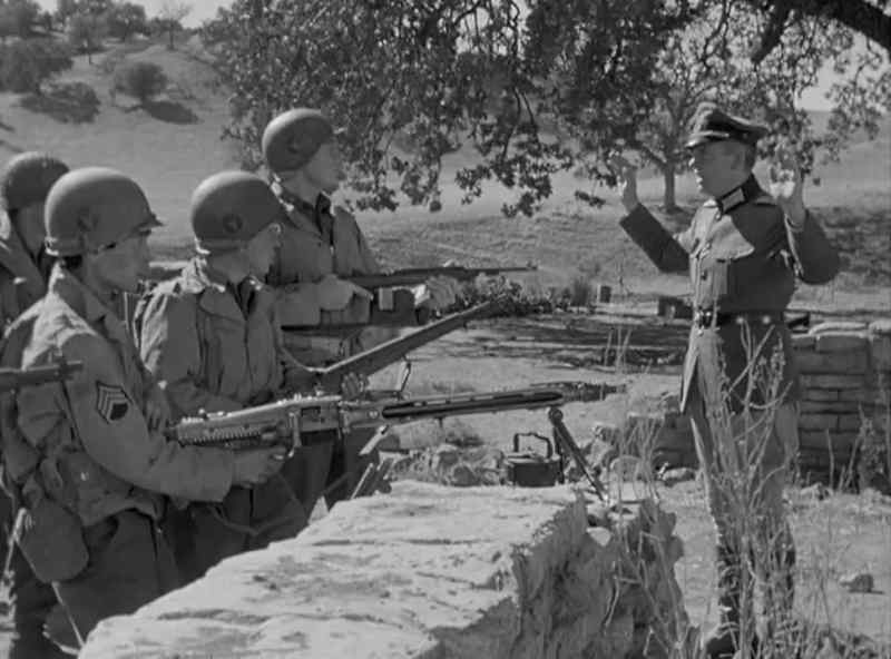 What kind of troops are these? Chinese?
