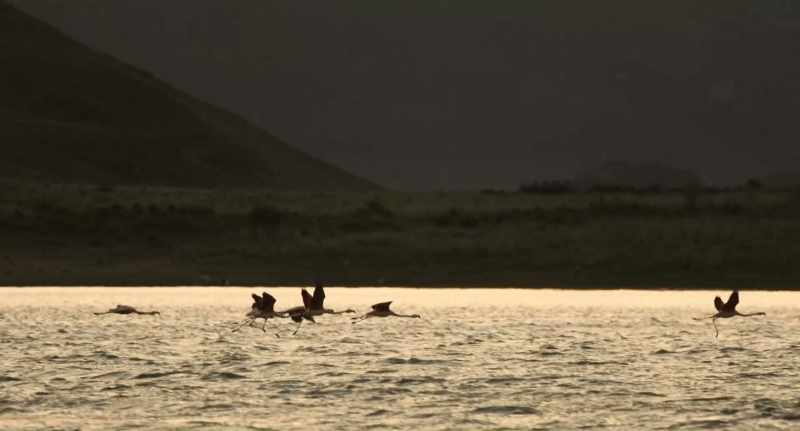 What Kris does, help protect biodiversity