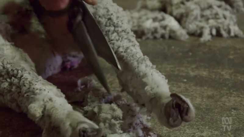 What was needed was a mechanised cutting system