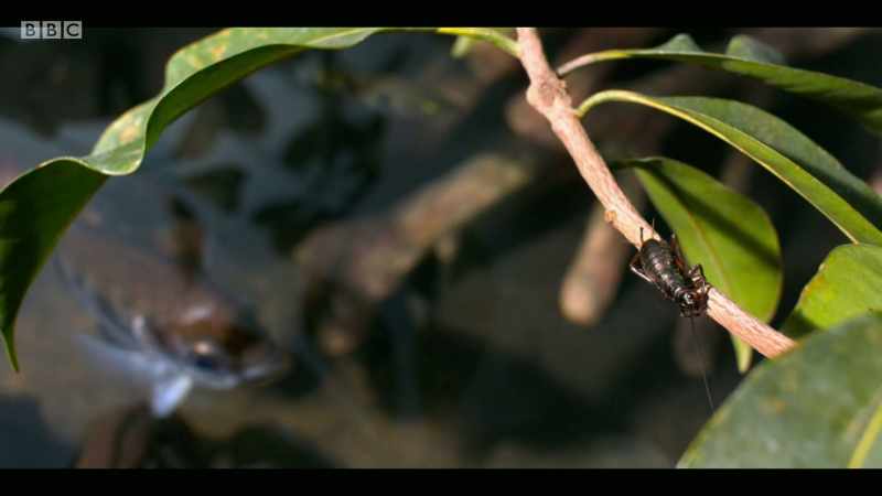 What we now know about the natural world is that