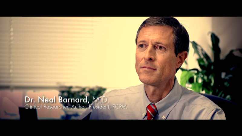 What role does sugar play in causing diabetes?