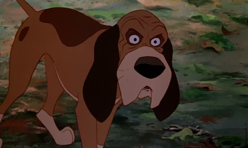 What? Tod, be careful