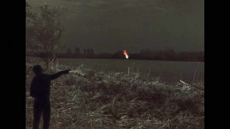 What we saw was so fast, and it disappeared