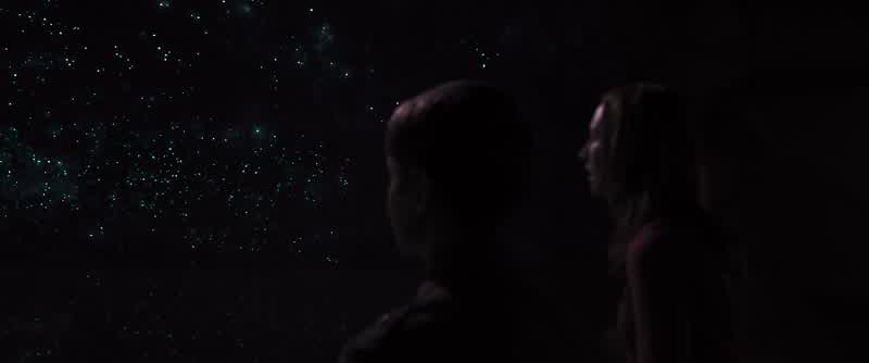 What stars are these?