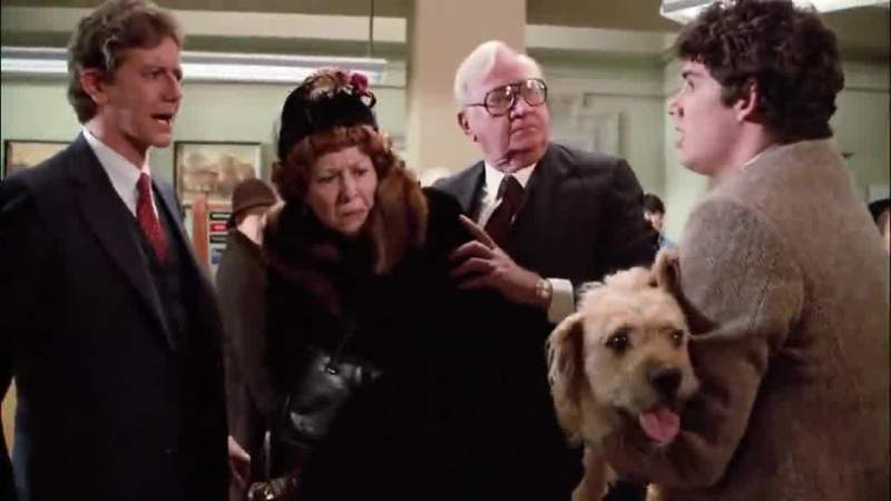 What is that dog doing in here