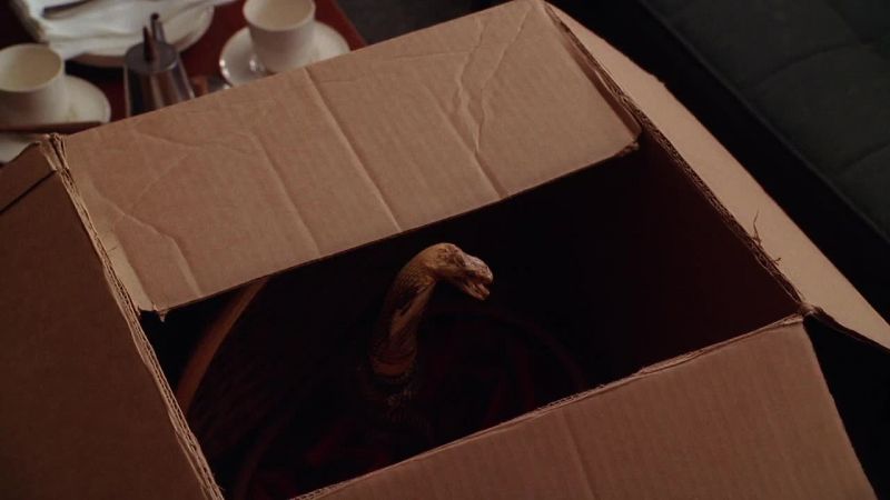 What is that? It looks like a snake