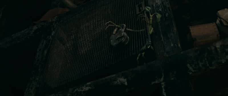 What the bloody hell was that for?