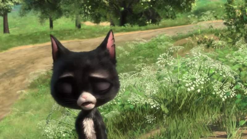What The dog face What does that mean