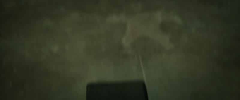 What the fuck