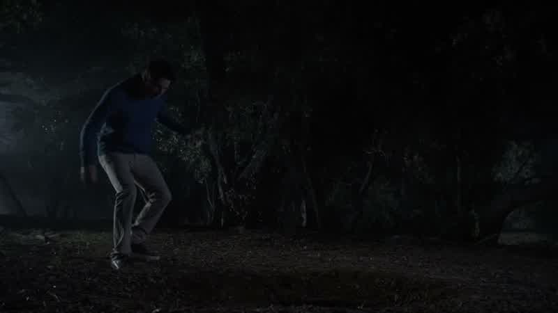 What the hell are you doing?
